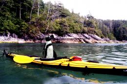 KayakingPenguin